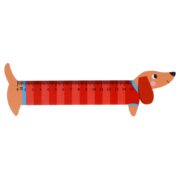Rex London Wooden Ruler Sausage Dog - Image 2