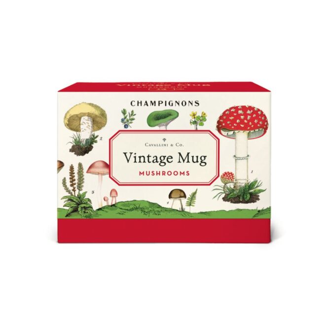 Cavallini Mug - Vintage Mushrooms - Image 2