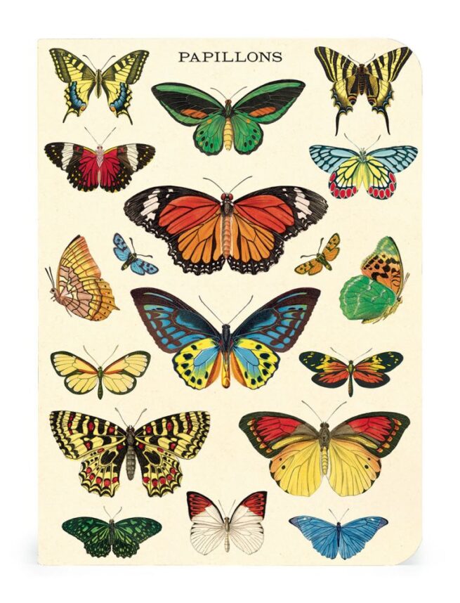 Cavallini Notebook Mini Set - Butterflies - Image 4
