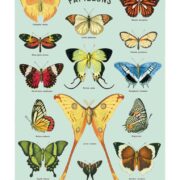 Cavallini Notebook Mini Set - Butterflies - Image 3