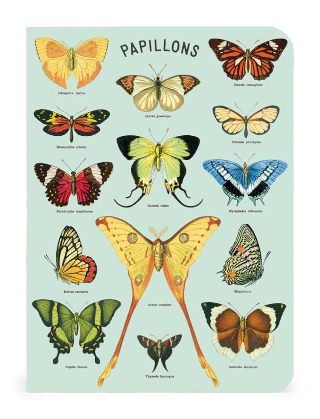 Cavallini Notebook Mini Set - Butterflies - Image 3