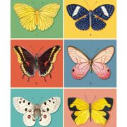 Cavallini Notebook Mini Set - Butterflies - Image 2