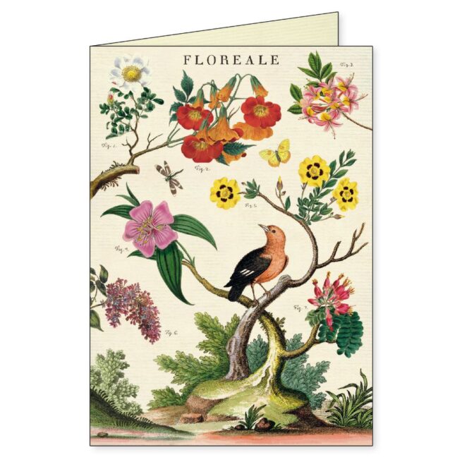 Cavallini Boxed Notecards - Floreale - Image 3