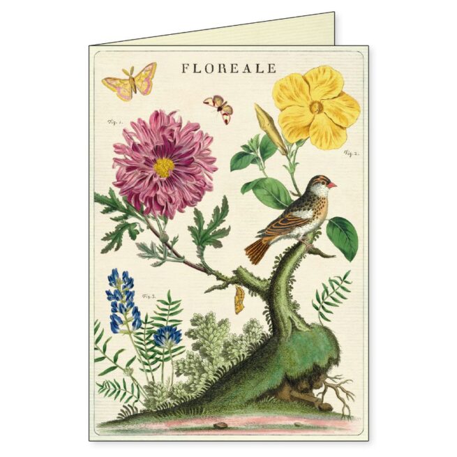 Cavallini Boxed Notecards - Floreale - Image 4