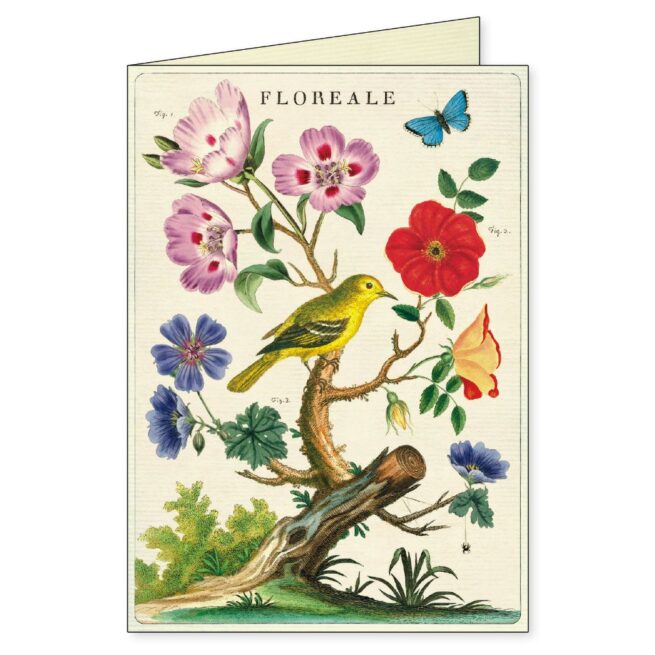 Cavallini Boxed Notecards - Floreale - Image 5