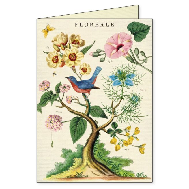 Cavallini Boxed Notecards - Floreale - Image 6