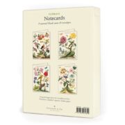 Cavallini Boxed Notecards - Floreale - Image 2