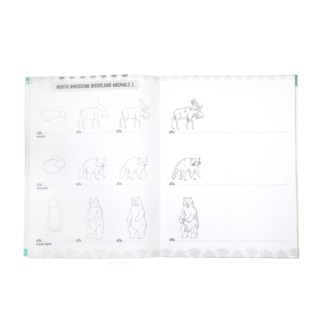 eeBoo Learn to Draw - Wild Animals - Image 2
