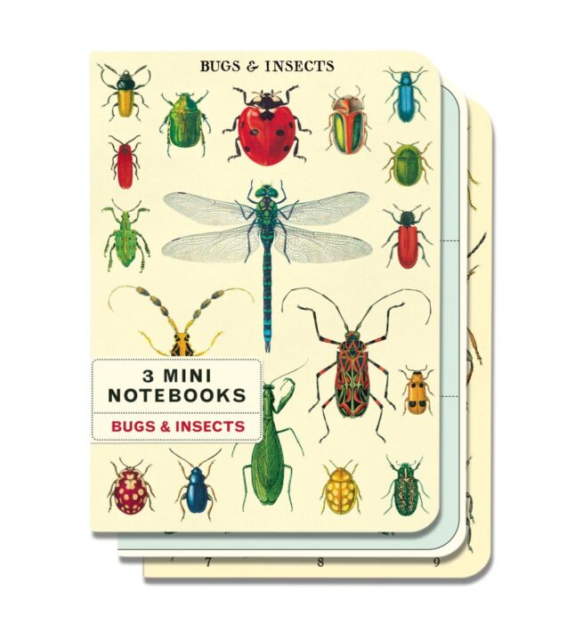 Cavallini Notebook Mini Set - Bugs
