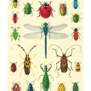 Cavallini Notebook Mini Set - Bugs - Image 2