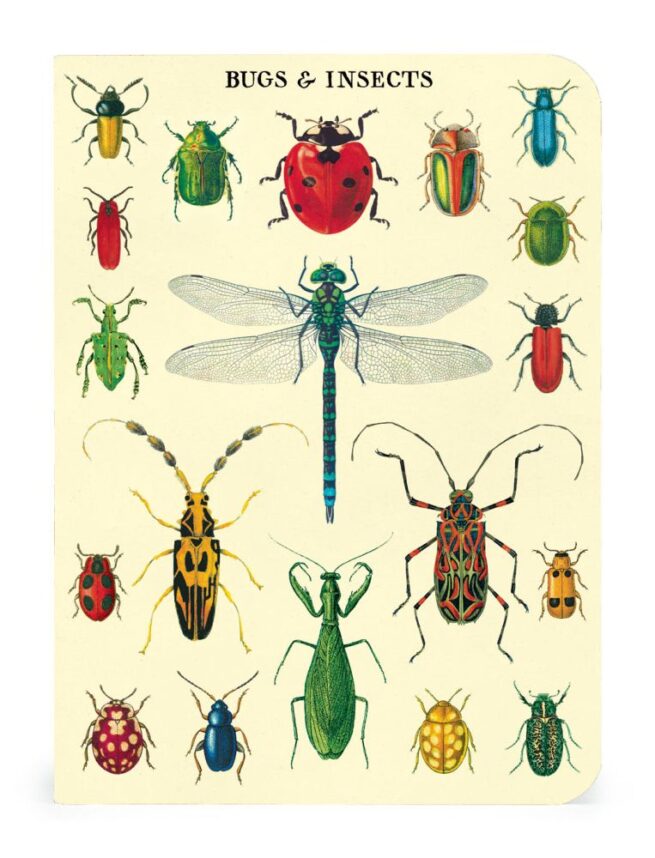 Cavallini Notebook Mini Set - Bugs - Image 2
