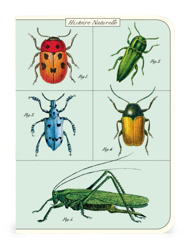 Cavallini Notebook Mini Set - Bugs - Image 3