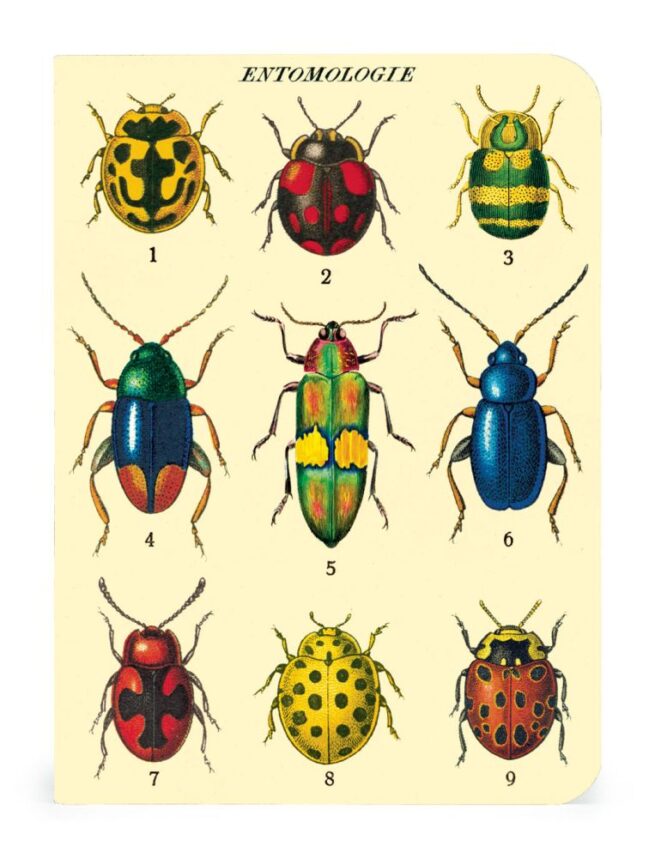Cavallini Notebook Mini Set - Bugs - Image 4