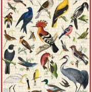 Cavallini - 1000 Pc Puzzle British Birds - Image 2