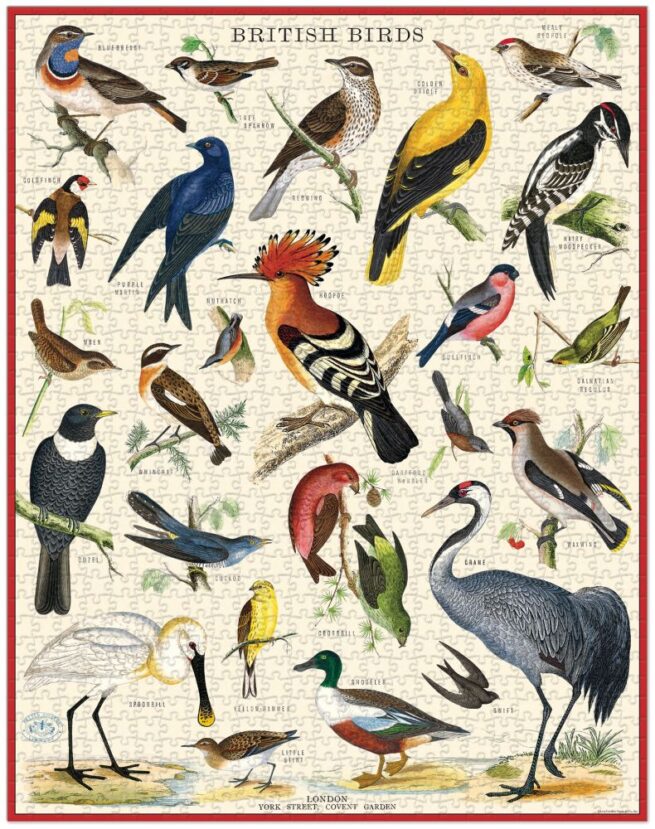 Cavallini - 1000 Pc Puzzle British Birds - Image 2