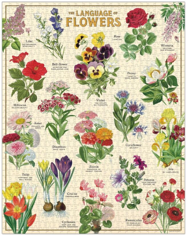 Cavallini - 1000 Pc Puzzle Language of Flowers - Image 2