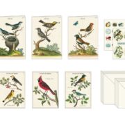 Cavallini Stationery Set - Birds - Image 2