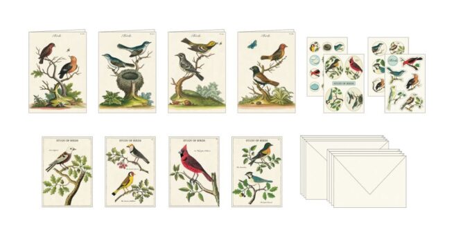 Cavallini Stationery Set - Birds - Image 2