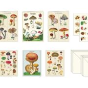 Cavallini Stationery Set - Mushrooms - Image 2