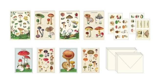 Cavallini Stationery Set - Mushrooms - Image 2