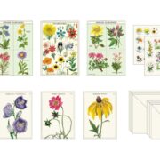 Cavallini Stationery Set - Wildflowers - Image 2