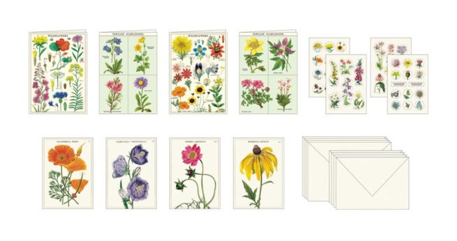 Cavallini Stationery Set - Wildflowers - Image 2