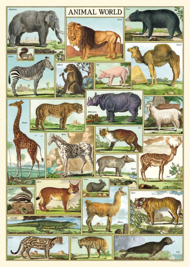 Cavallini Poster/Gift Wrap - Animal World