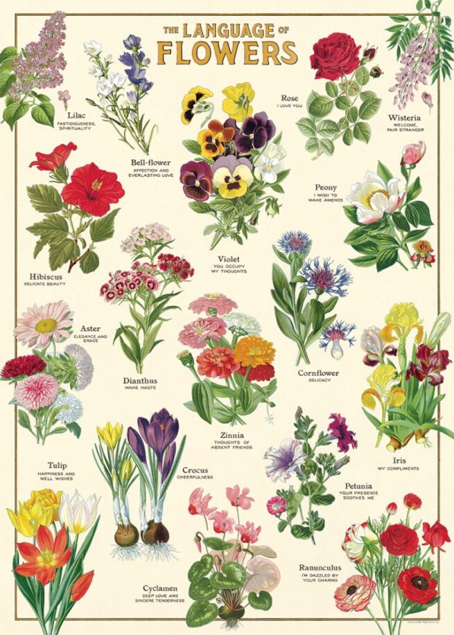 Cavallini Poster/Gift Wrap - Language Flowers