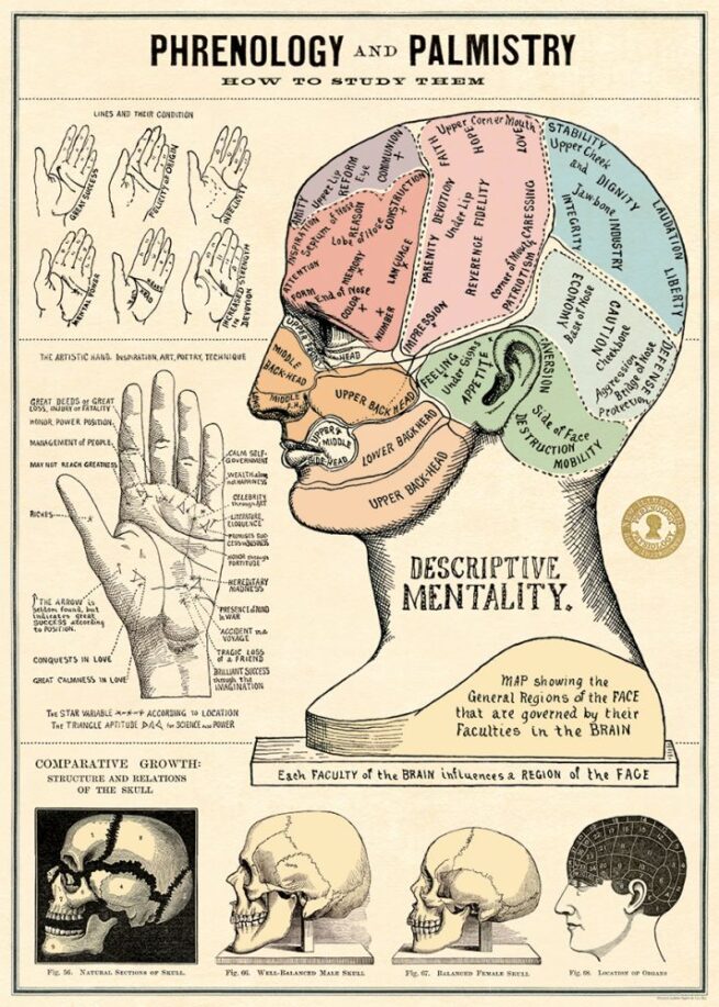 Cavallini Poster/Gift Wrap - Phrenology and Palmistry
