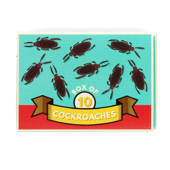 Rex London Classic Jokes - Cockroaches/Box of 10 - Image 3