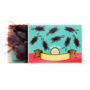Rex London Classic Jokes - Cockroaches/Box of 10 - Image 2