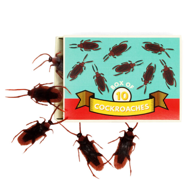 Rex London Classic Jokes - Cockroaches/Box of 10