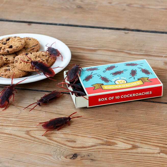 Rex London Classic Jokes - Cockroaches/Box of 10 - Image 5