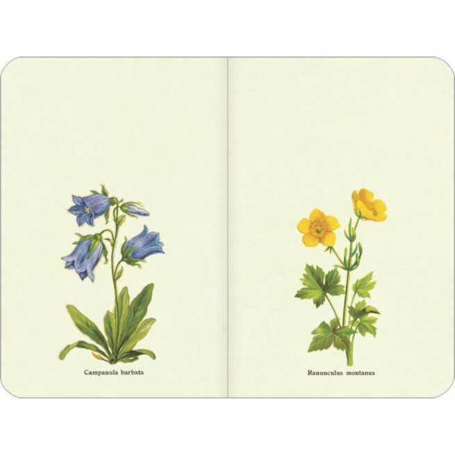 Cavallini 2025 Weekly Planner – Flower Garden - Image 2