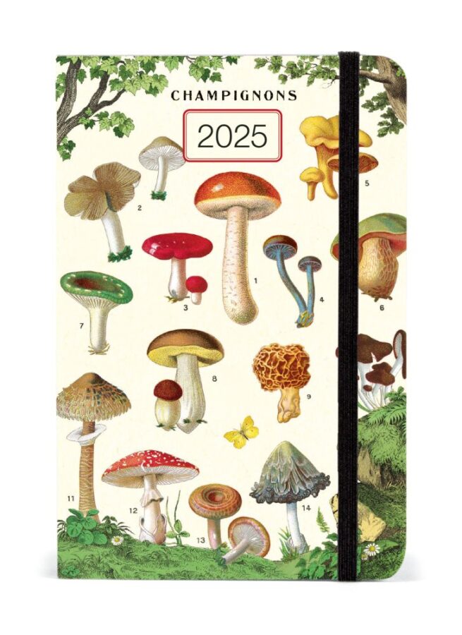 Cavallini 2025 Weekly Planner – Mushrooms