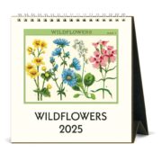 Cavallini 2025 Desk Calendar - Wildflowers