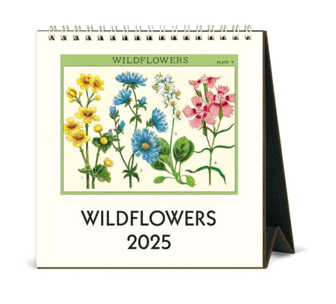 Cavallini 2025 Desk Calendar - Wildflowers
