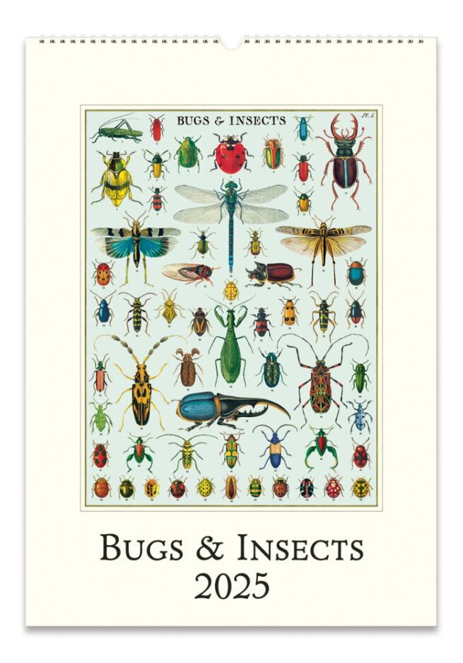 Cavallini 2025 Wall Calendar – Bug & Insects