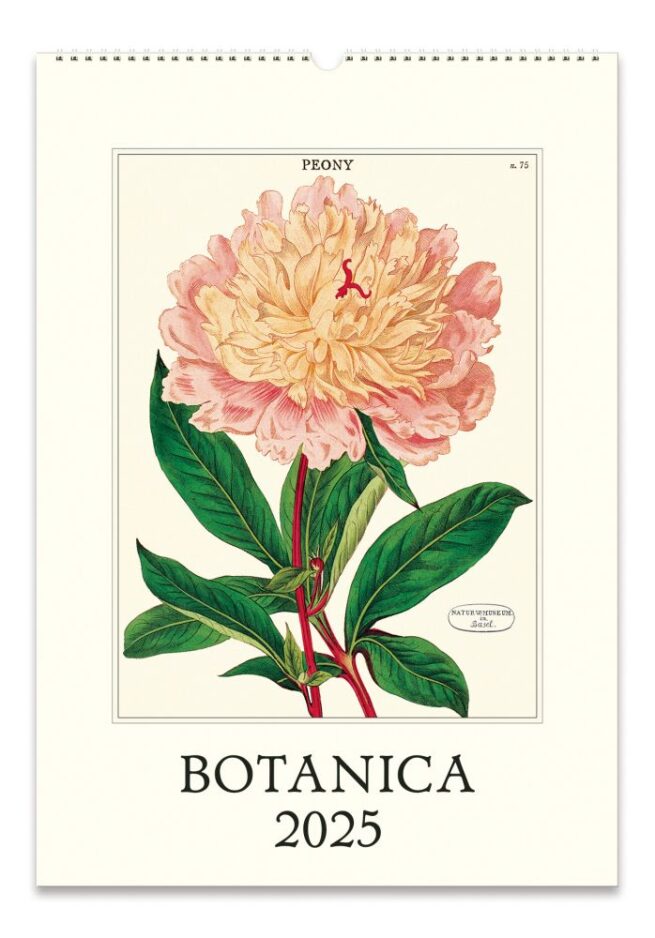 Cavallini 2025 Wall Calendar – Botanica