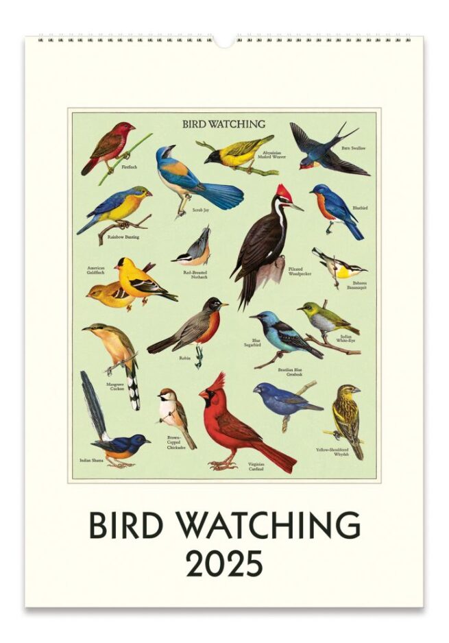 Cavallini 2025 Wall Calendar – Bird Watching