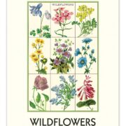Cavallini 2025 Wall Calendar – Wildflowers