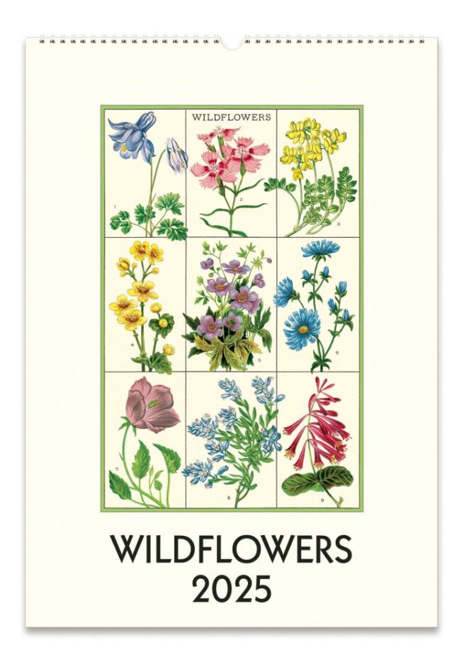 Cavallini 2025 Wall Calendar – Wildflowers