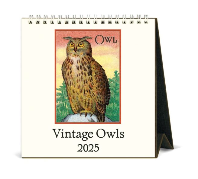 Cavallini 2025 Desk Calendar - Vintage Owls