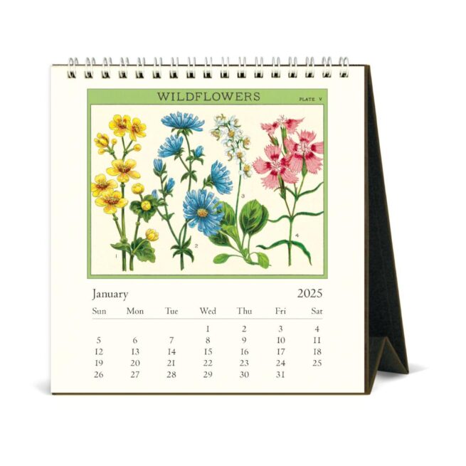 Cavallini 2025 Desk Calendar - Wildflowers - Image 2