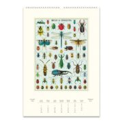 Cavallini 2025 Wall Calendar – Bug & Insects - Image 2