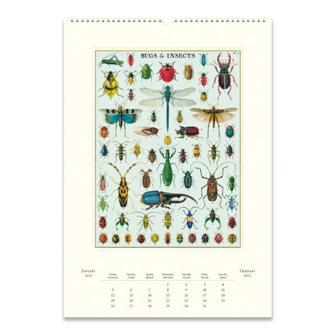 Cavallini 2025 Wall Calendar – Bug & Insects - Image 2