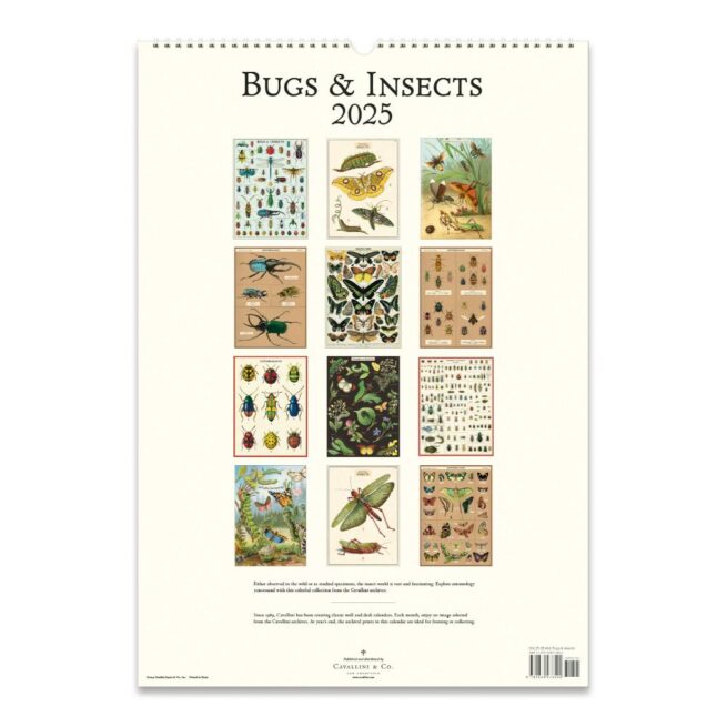Cavallini 2025 Wall Calendar – Bug & Insects - Image 3