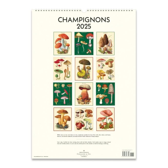 Cavallini 2025 Wall Calendar – Champignons - Image 3