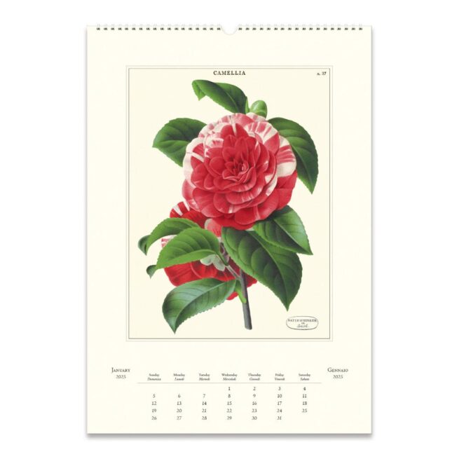 Cavallini 2025 Wall Calendar – Botanica - Image 2