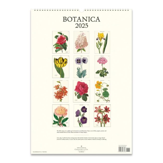 Cavallini 2025 Wall Calendar – Botanica - Image 3